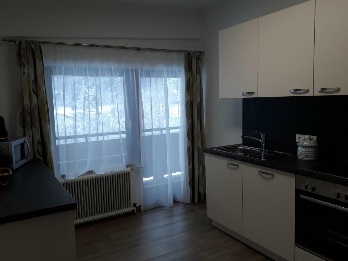 Appartement Wildkogelblick Нойкирхен-ам-Гросфенедигер Экстерьер фото