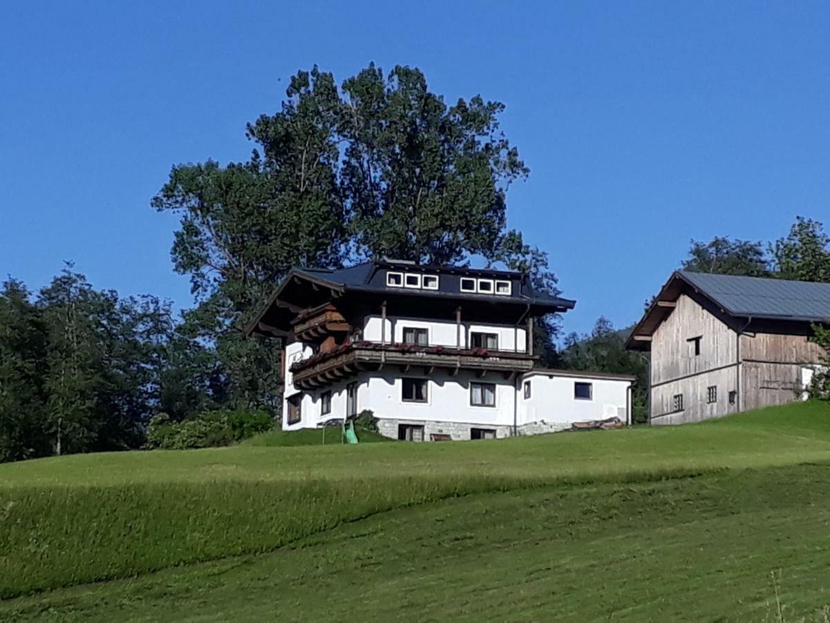 Appartement Wildkogelblick Нойкирхен-ам-Гросфенедигер Экстерьер фото